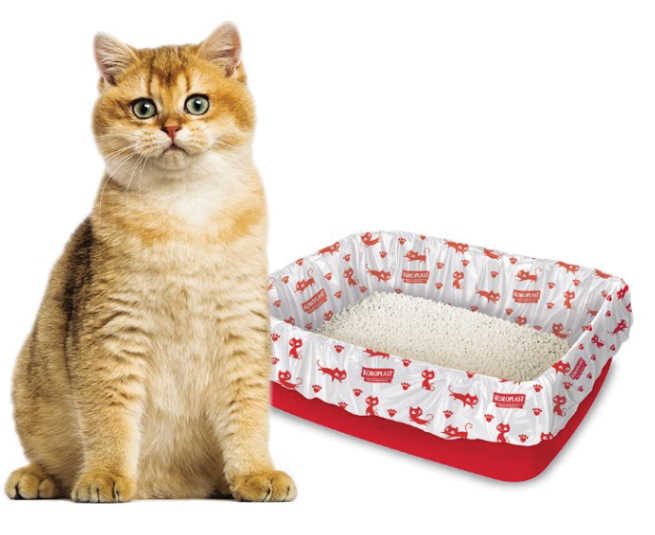Eksikliğini Hissetmeyeceğiniz Kedi Malzemeleri