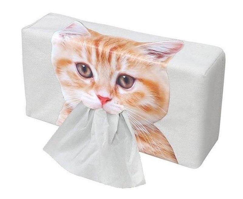 Eksikliğini Hissetmeyeceğiniz Kedi Malzemeleri