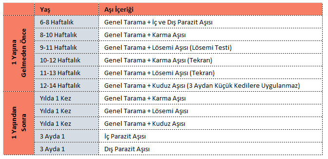 kedi asi takvimi yapilmasi gereken zorunlu asilar kediannesi com