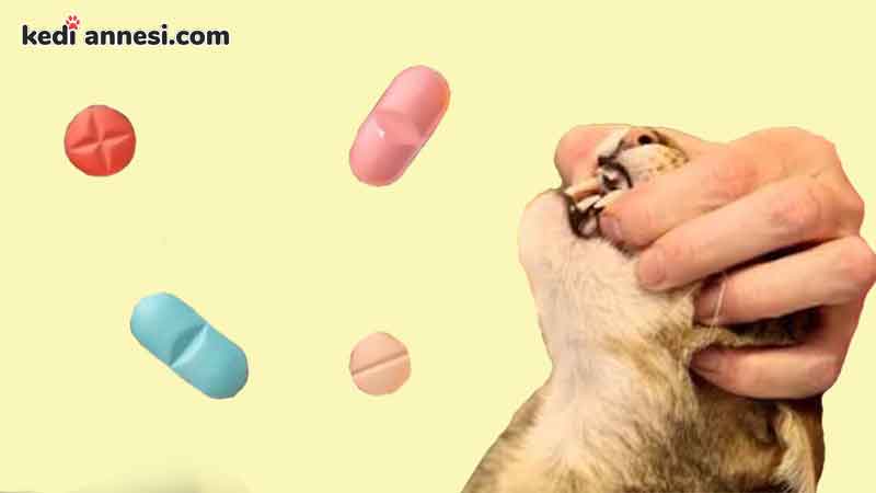 Kedi Iç Dış Parazit Ilacı